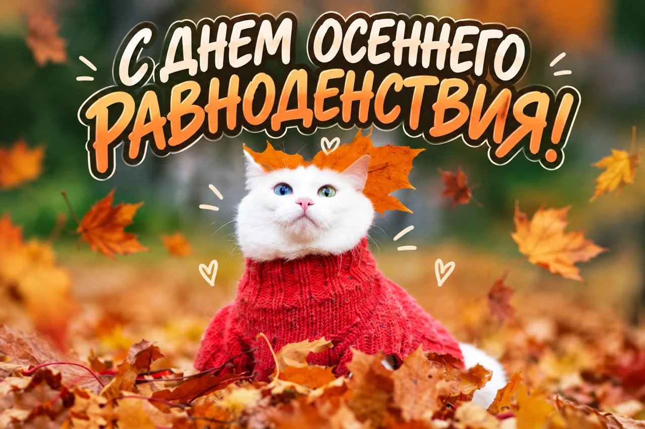 Сидите, учитесь в школе, а Солнце прямо сейчас переходит экватор!