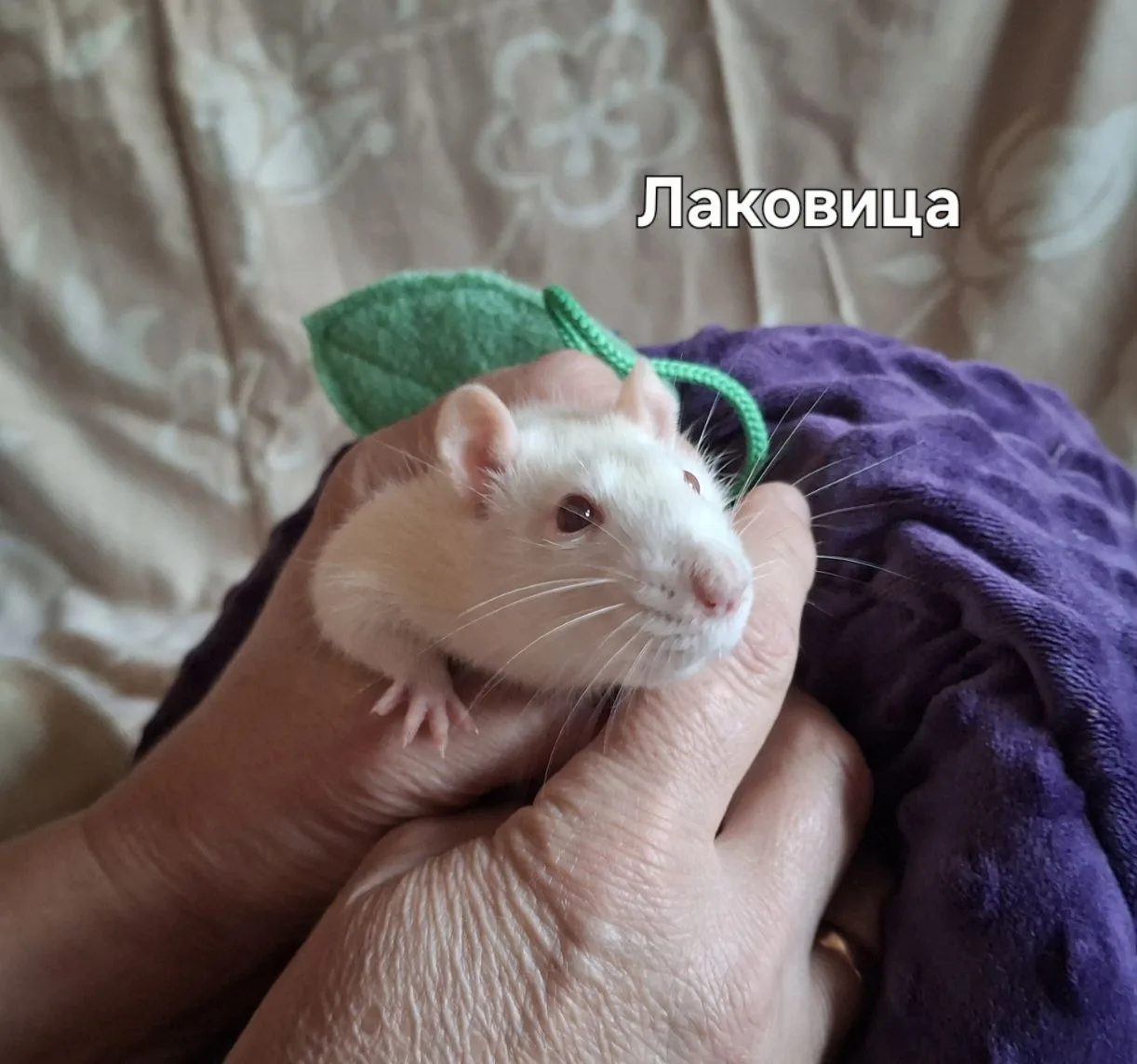 Друзья, мы начинаем потихоньку знакомить вас с нашими десантниками.