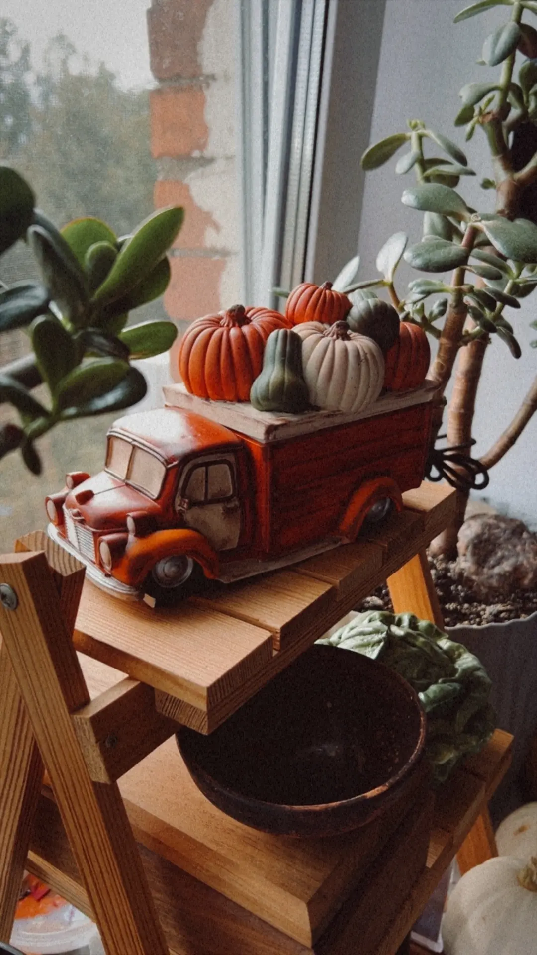 Немного моих осенних 🍂