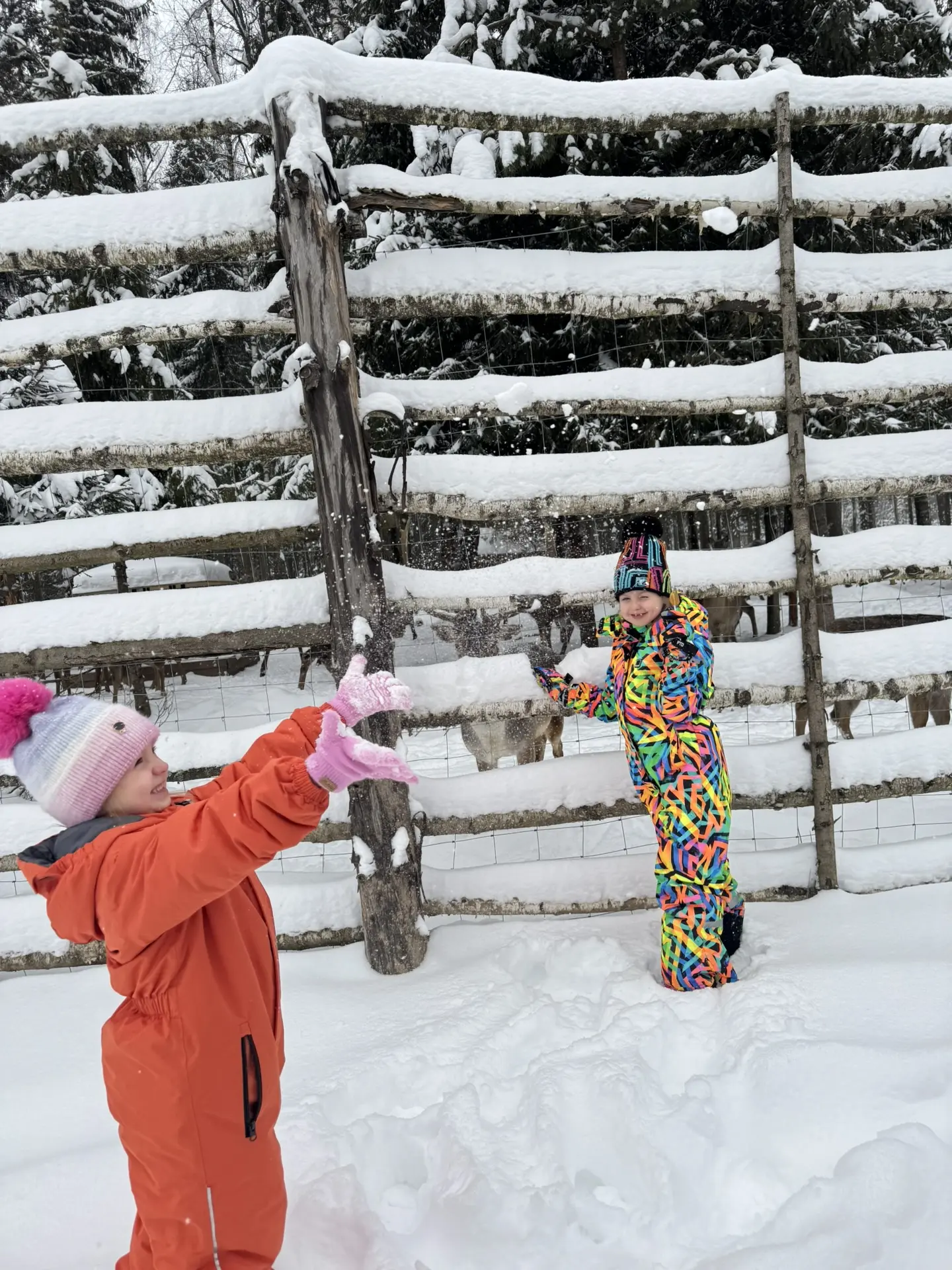 Наши райские выходные в волшебном Серпухове😍🌲🌨️