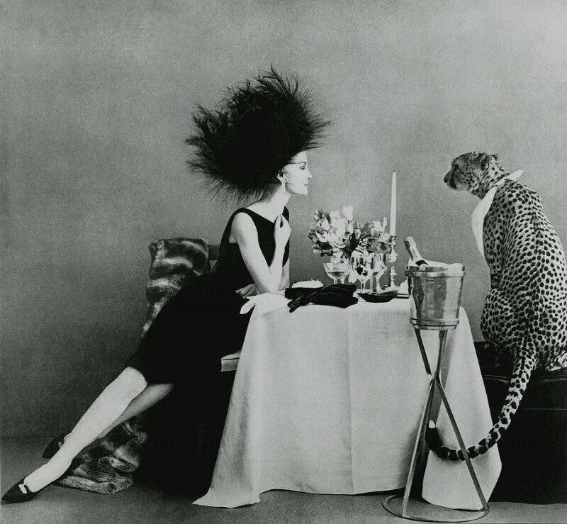 Oбeд с гeпapдом, Vogue, 1960 год.
