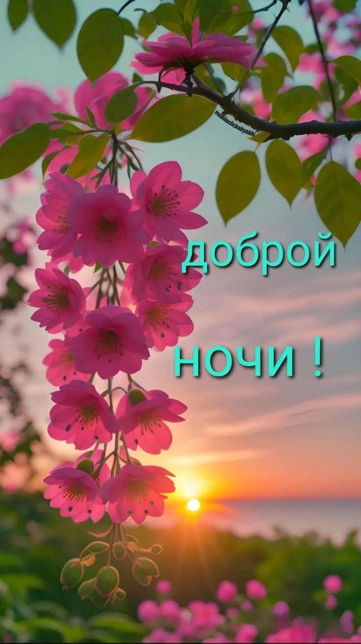 Доброй ночи