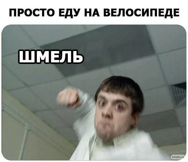 Шмельное