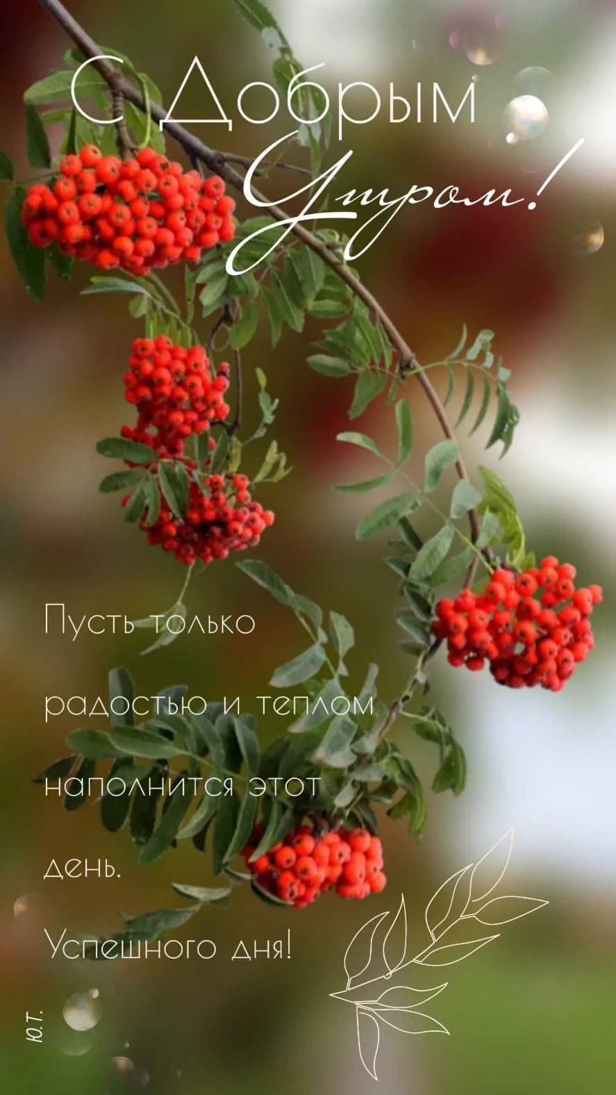 #доброеутро