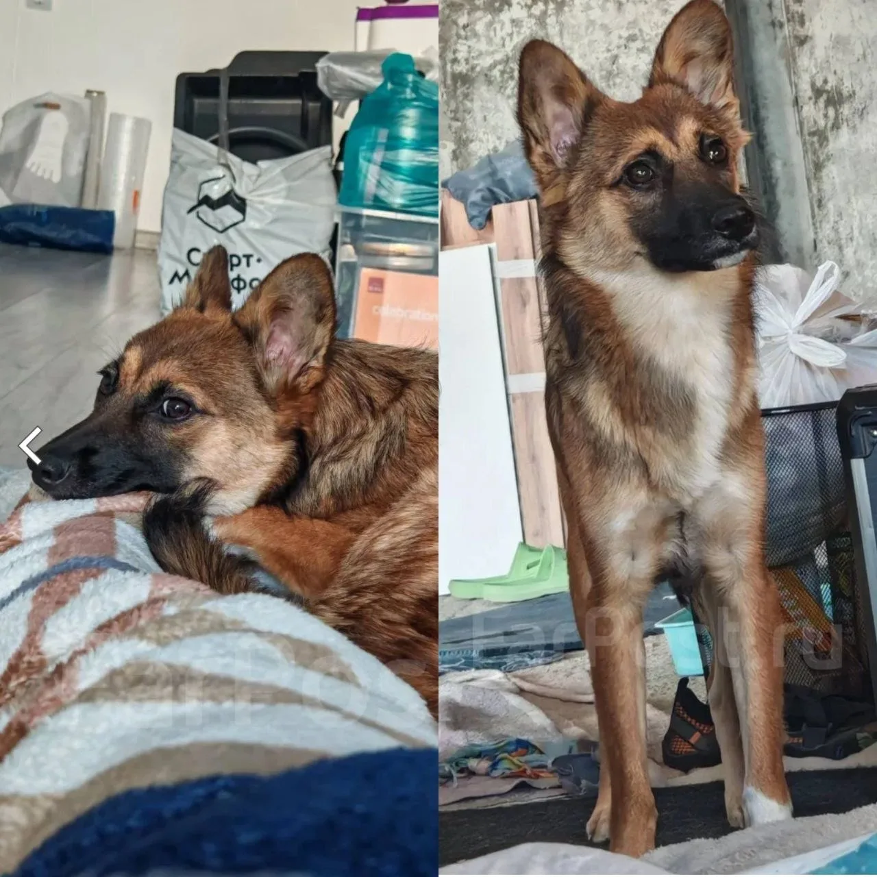 🆘 в Спасском районе,
