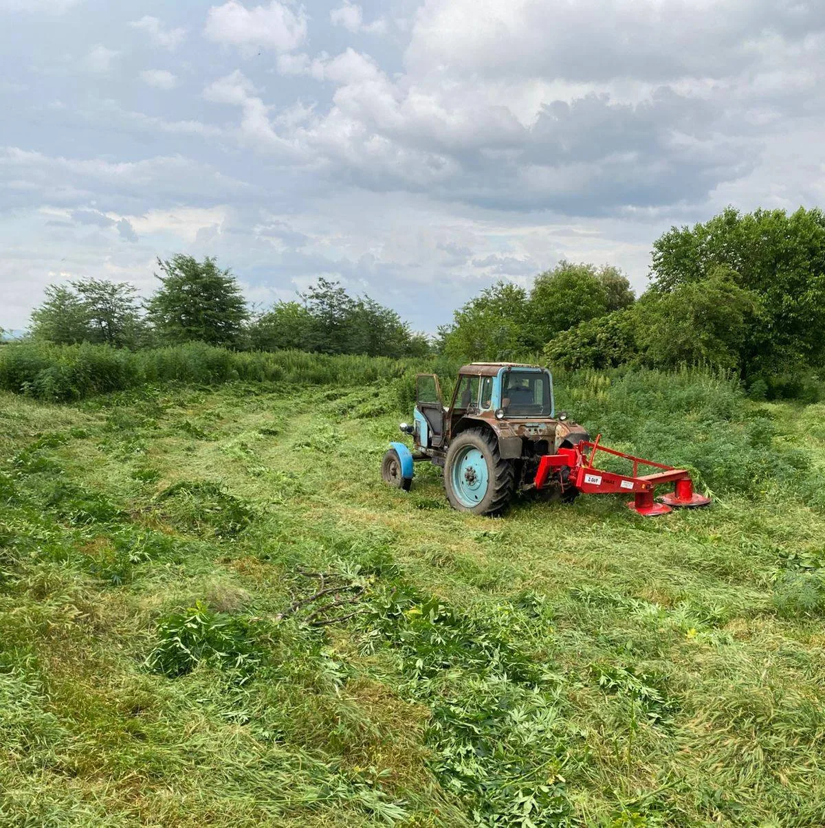 🌱В Ардонском районе Северной Осетии уничтожат более 20 га дикорастущих наркосодержащих растений

Ра