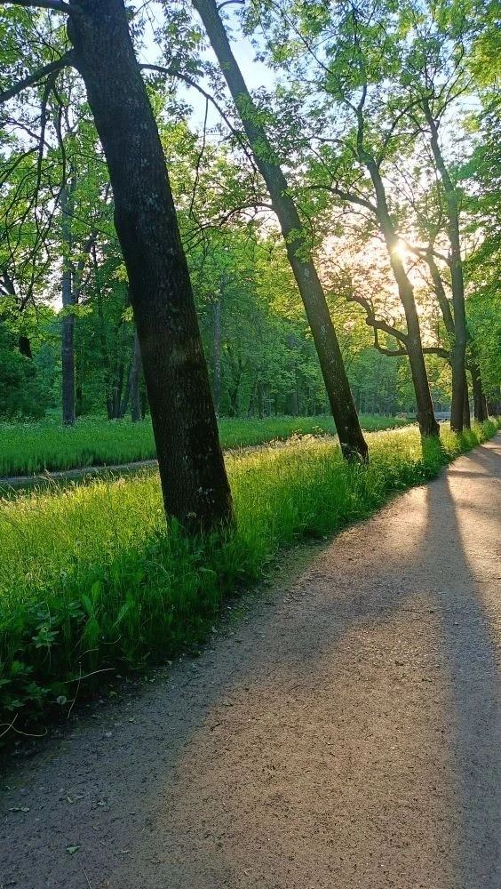 Идем гулять! 💥

Александровский парк 🌳