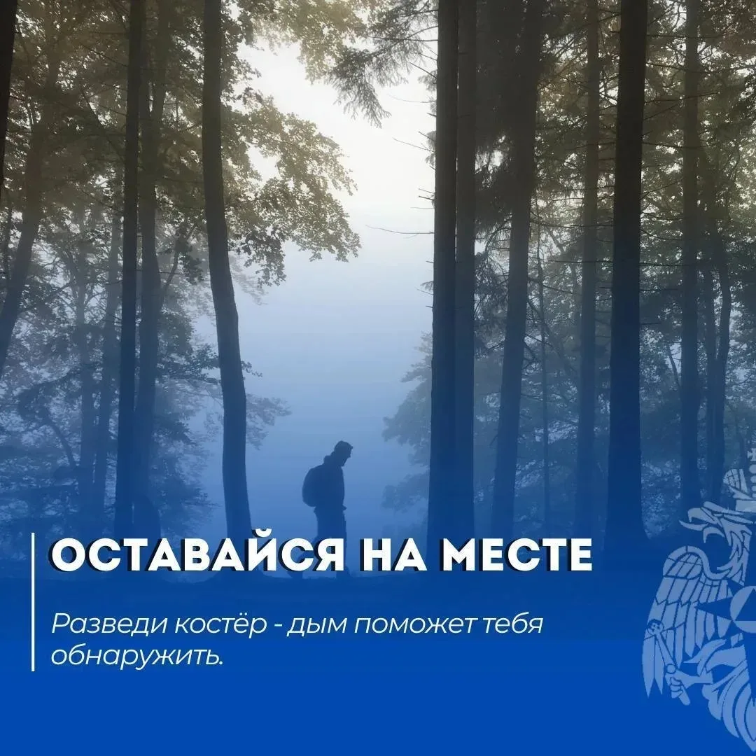 Безопасный поход 

Читай в нашей памятке: что делать, если потерялся в лесу.

МЧС России напоминает:
