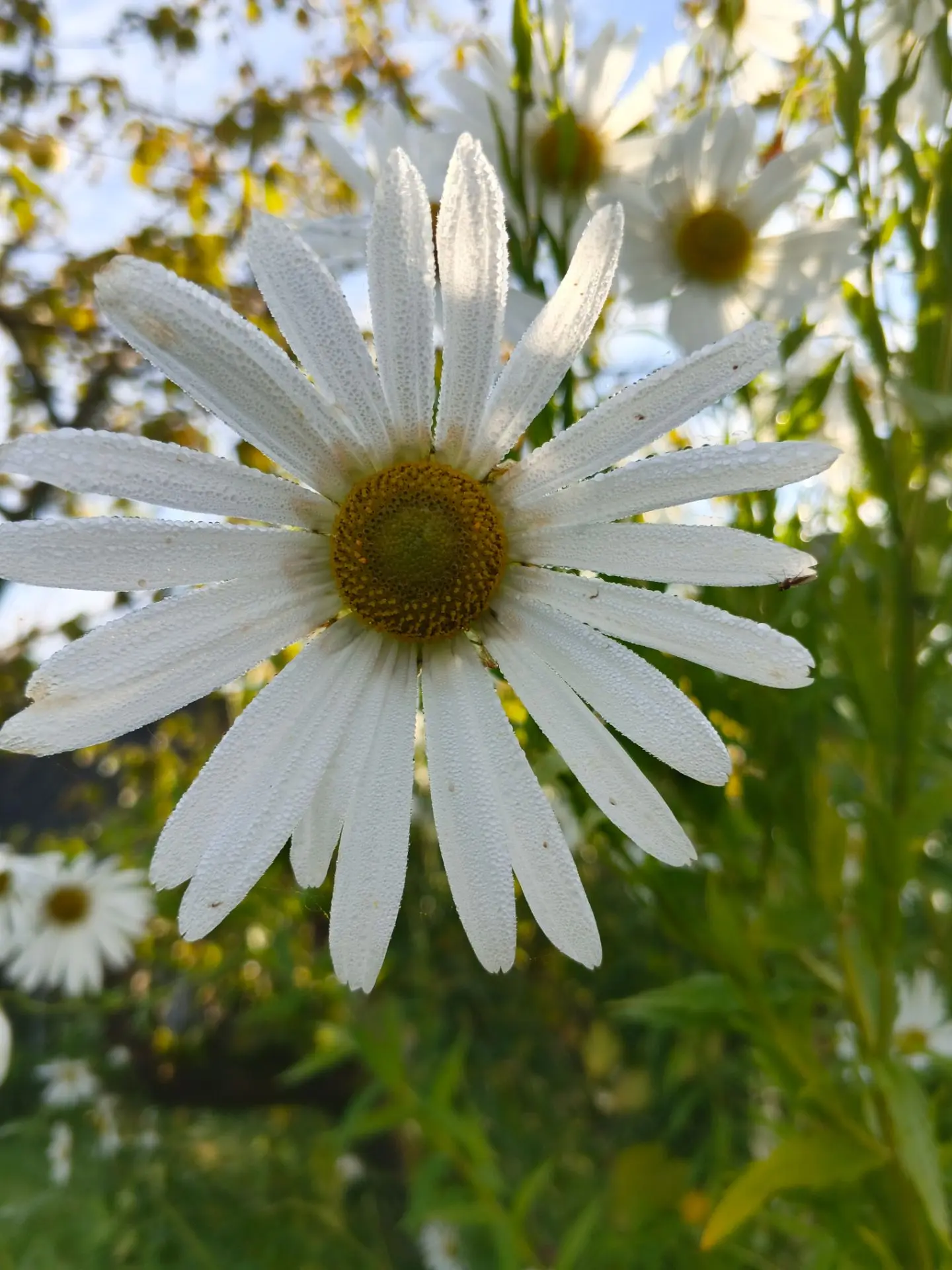 Фото