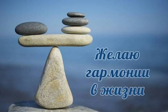 Приветствуем вас !!!
