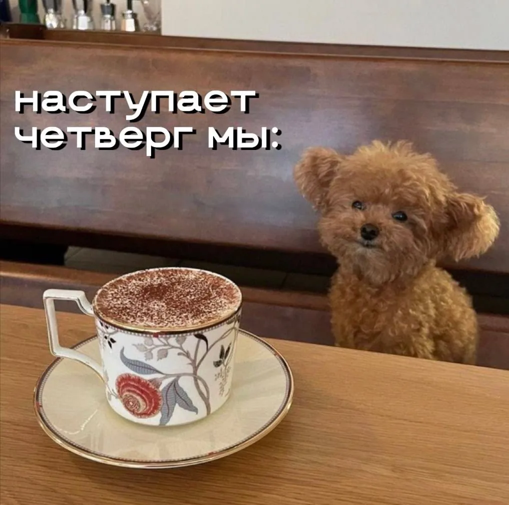 Планы на этот четверг