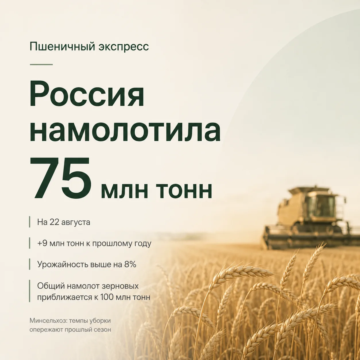 Пшеничный экспресс: Россия намолотила 75 млн тонн с опережением графика