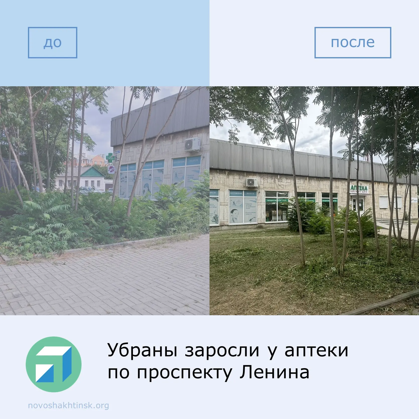Жительница Новошахтинска заметила, что у аптеки на проспекте Ленина все заросло сорняками и порослью