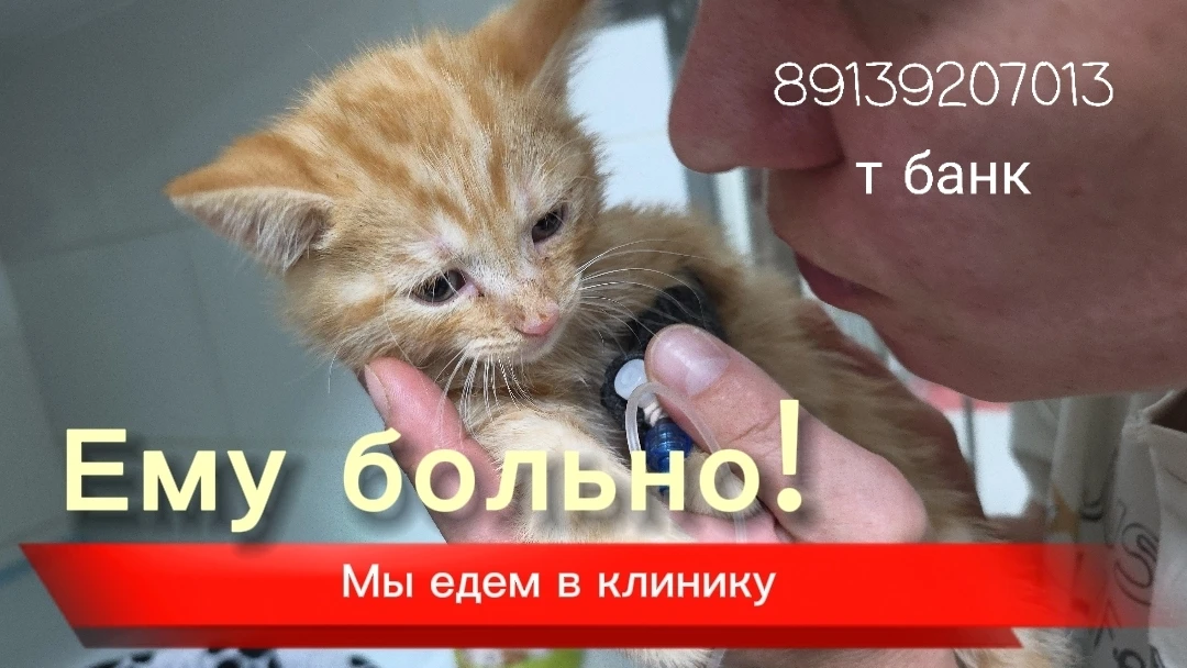Только представьте! У малыша отломлена нижняя часть таза!!! 😭

Это очень больно! Люди при такой тра