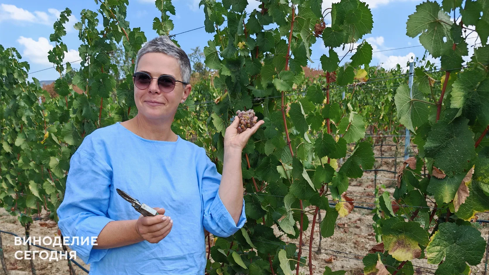 В Oxana Istratova Wine назвали качество неизменной основой авторского стиля