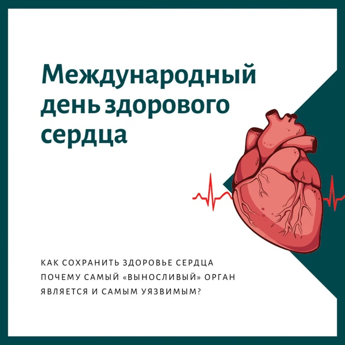 11 августа – Международный день здорового сердца!