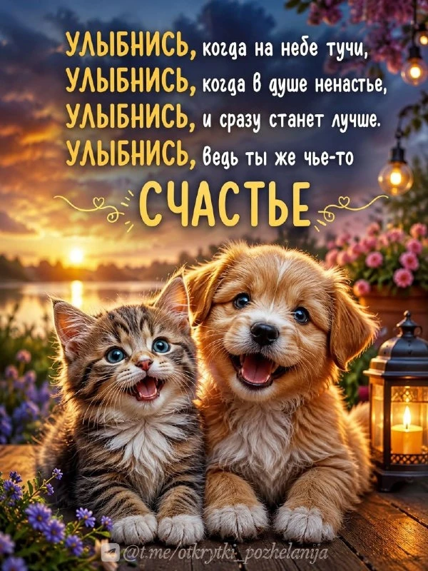 Открытки: подписаться ❤️