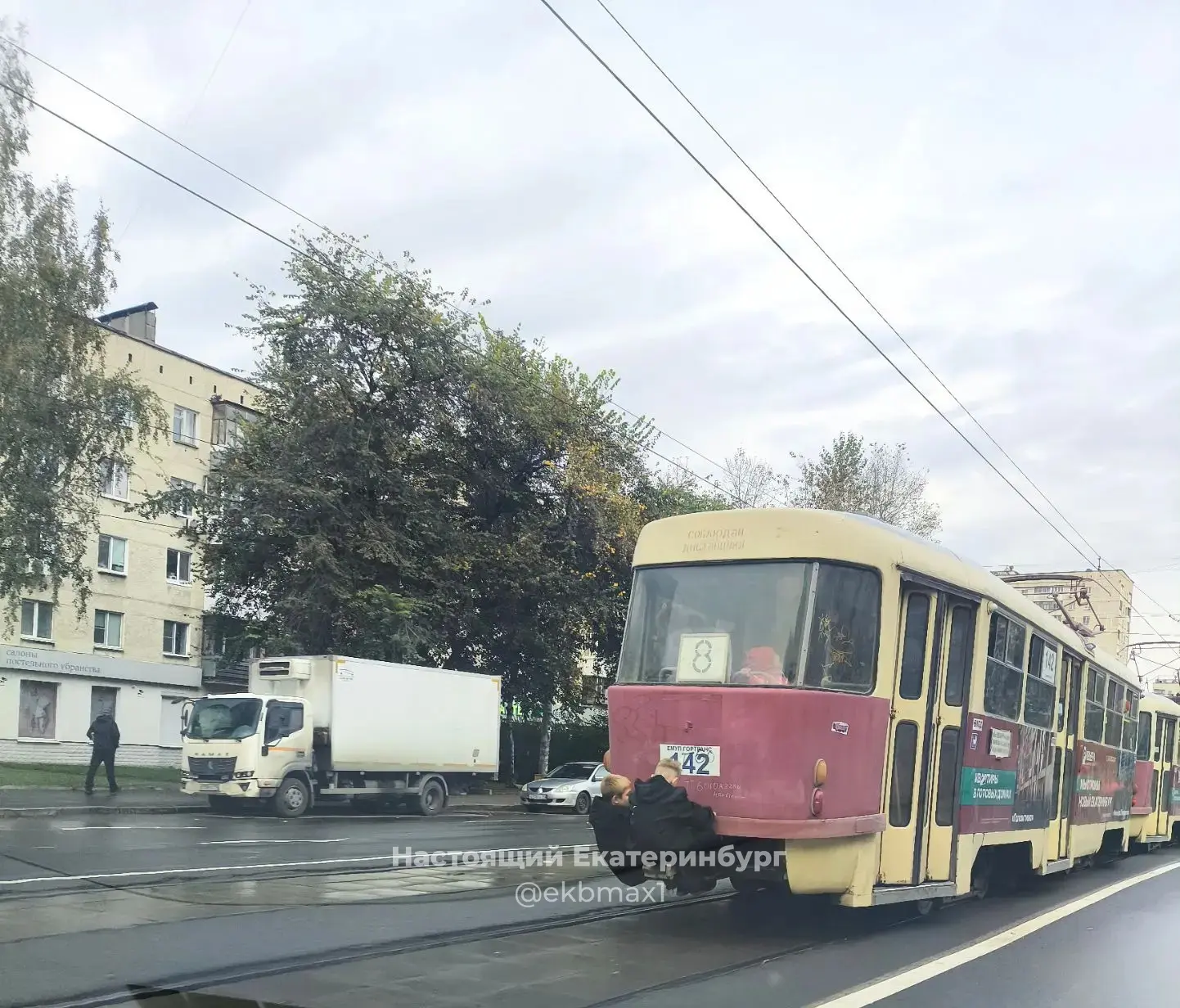 Чьи детки-конфетки?