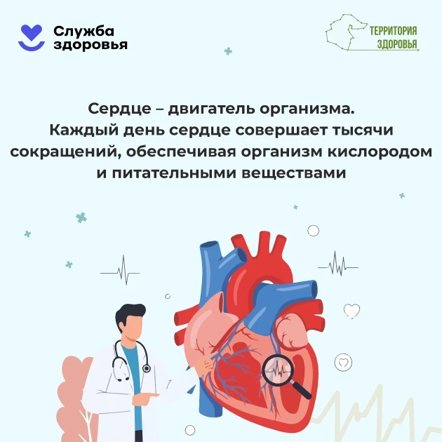 ❤️ 28 сентября — 4 октября: Неделя ответственного отношения к сердцу
