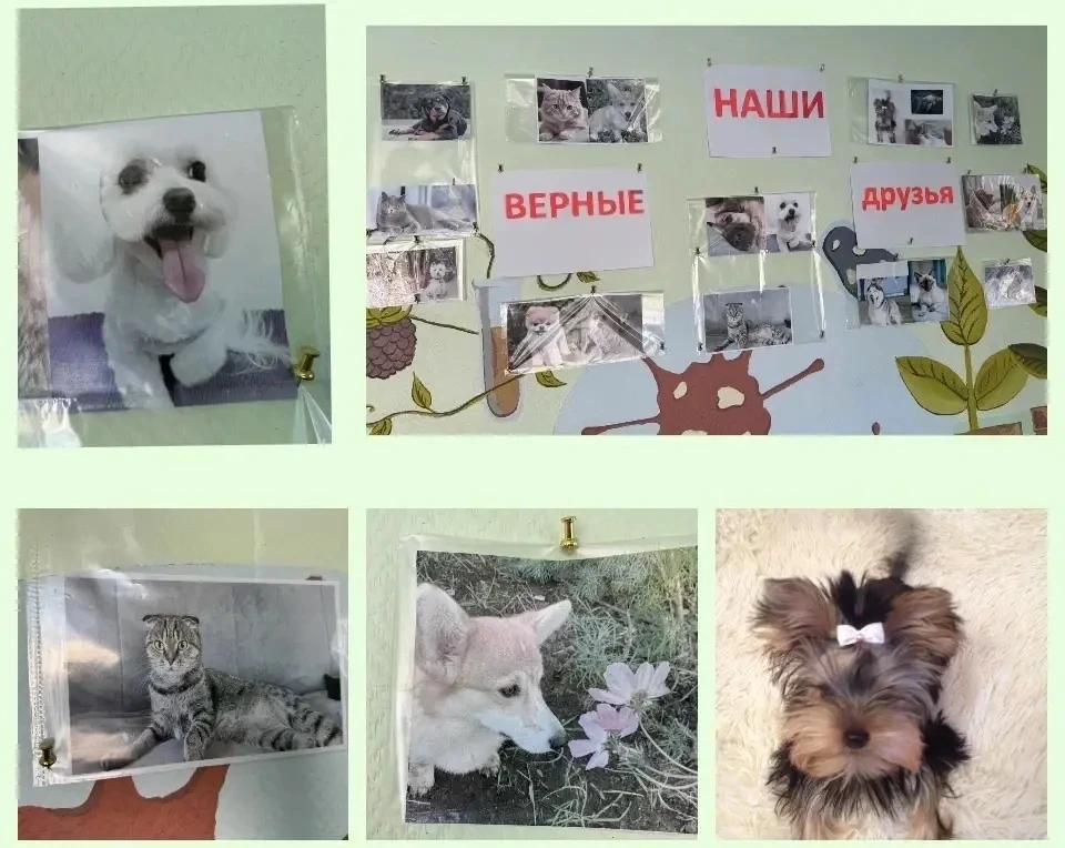 🧬🌎🧪Итоги Недели естественно-научного цикла: как это было.   Друзья, в нашей школе кипела настоящая н