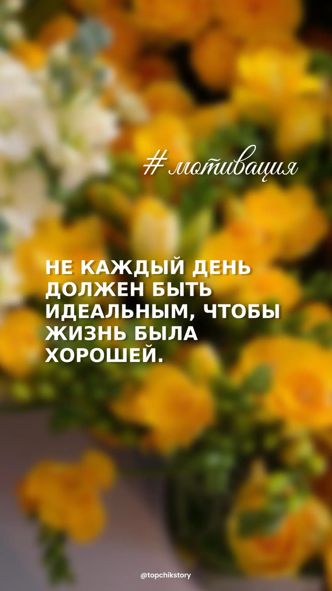 Помню, вам такие мотивашки зашли - сделала ещё 

Если много реакций наставите, то пойду ещё порцию д