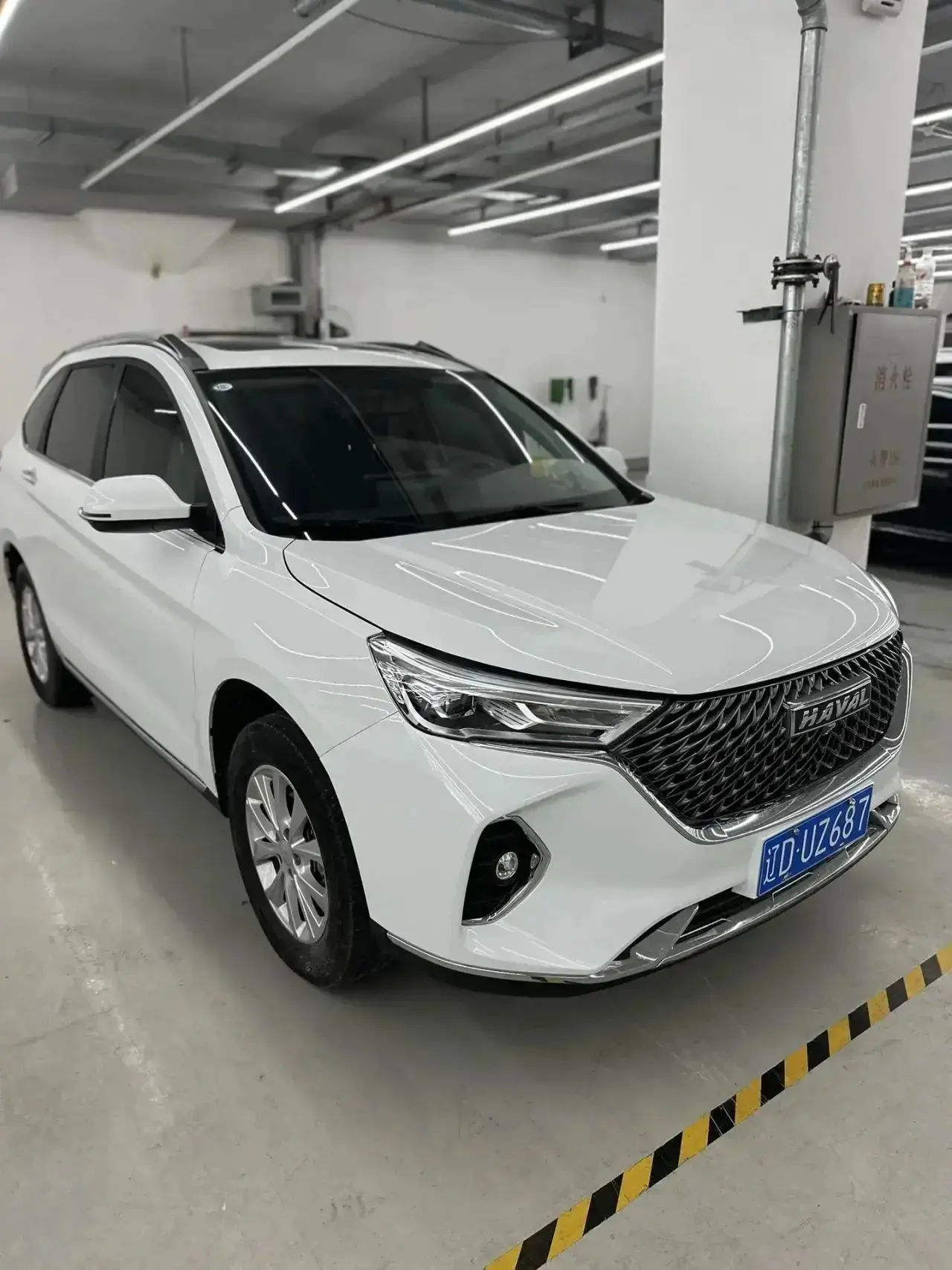 Haval M6