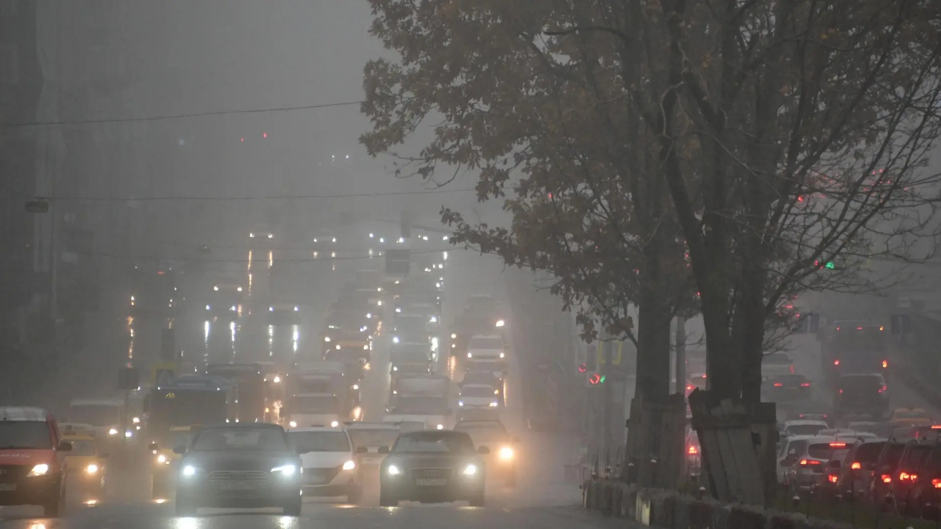 🌫️ «Радиационный туман» накроет Москву уже сегодня, — синоптики.