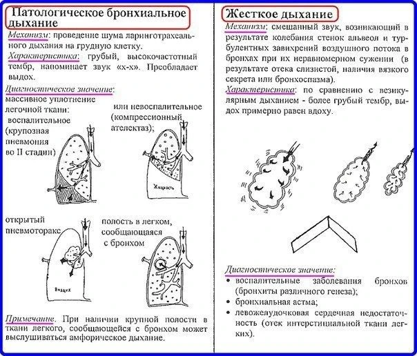 Аускультация легких
