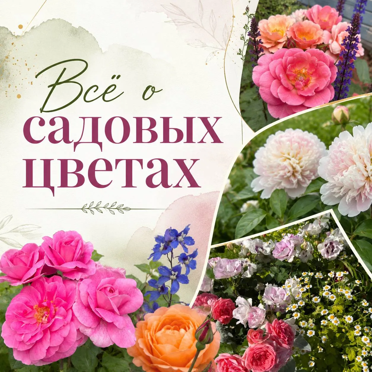 Всё о садовых цветах
 
Поговорим об особенности выращивания основных садовых цветов: роз, пионов, го