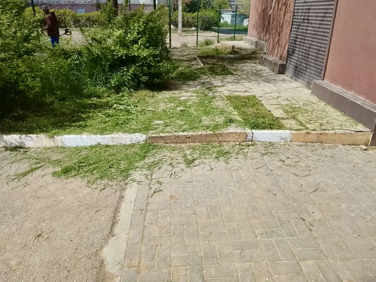 К новости «🌾 Летний сезон: трава под контролем!»