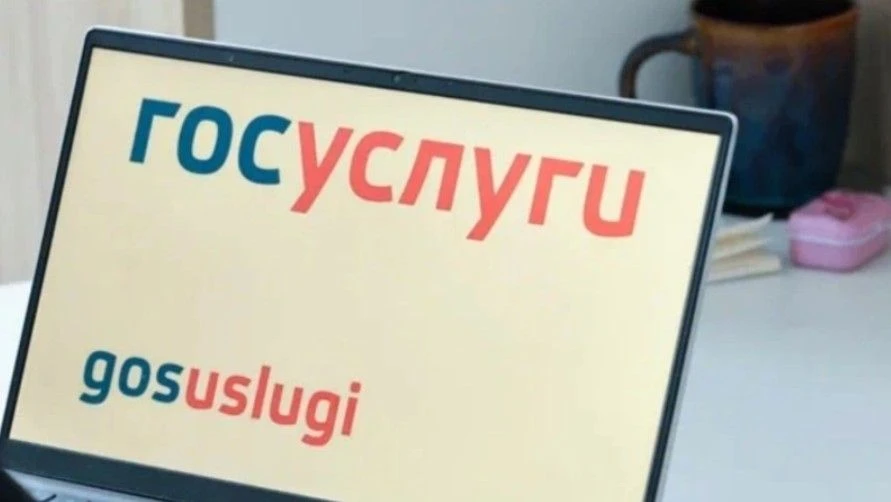 НКО смогут подтвердить страницы во «ВКонтакте» и «Одноклассниках» через Госуслуги