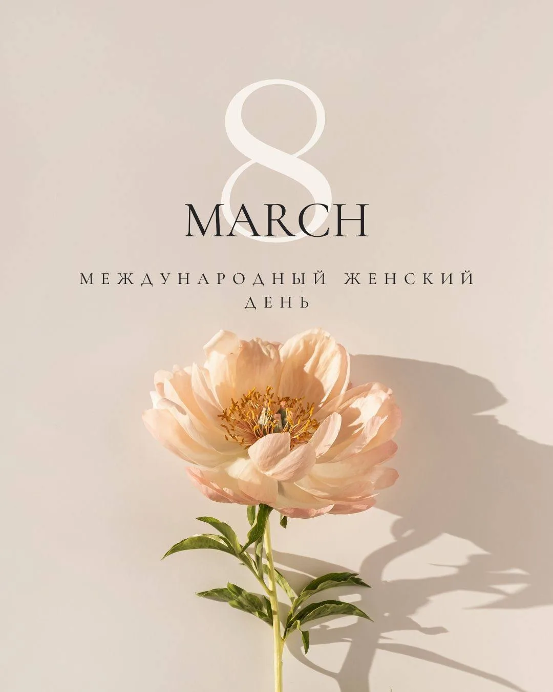🗓️ Сегодня мы отмечаем замечательный праздник - Международный женский день.
