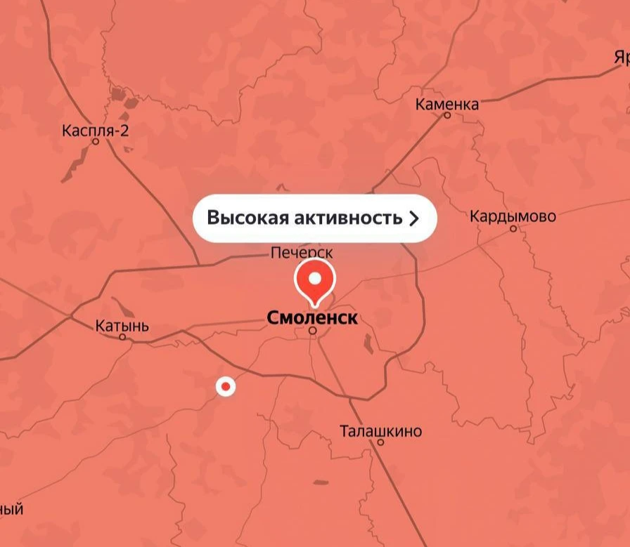 В Смоленске фиксируется повышенная концентрация пыльцы  🌳Для аллергиков в областном центре наступил 