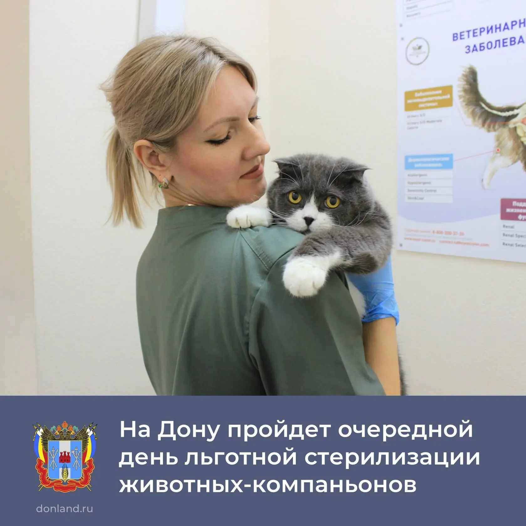 На Дону продолжается акция по льготной стерилизации животных-компаньонов.

📍30 июля жители региона 