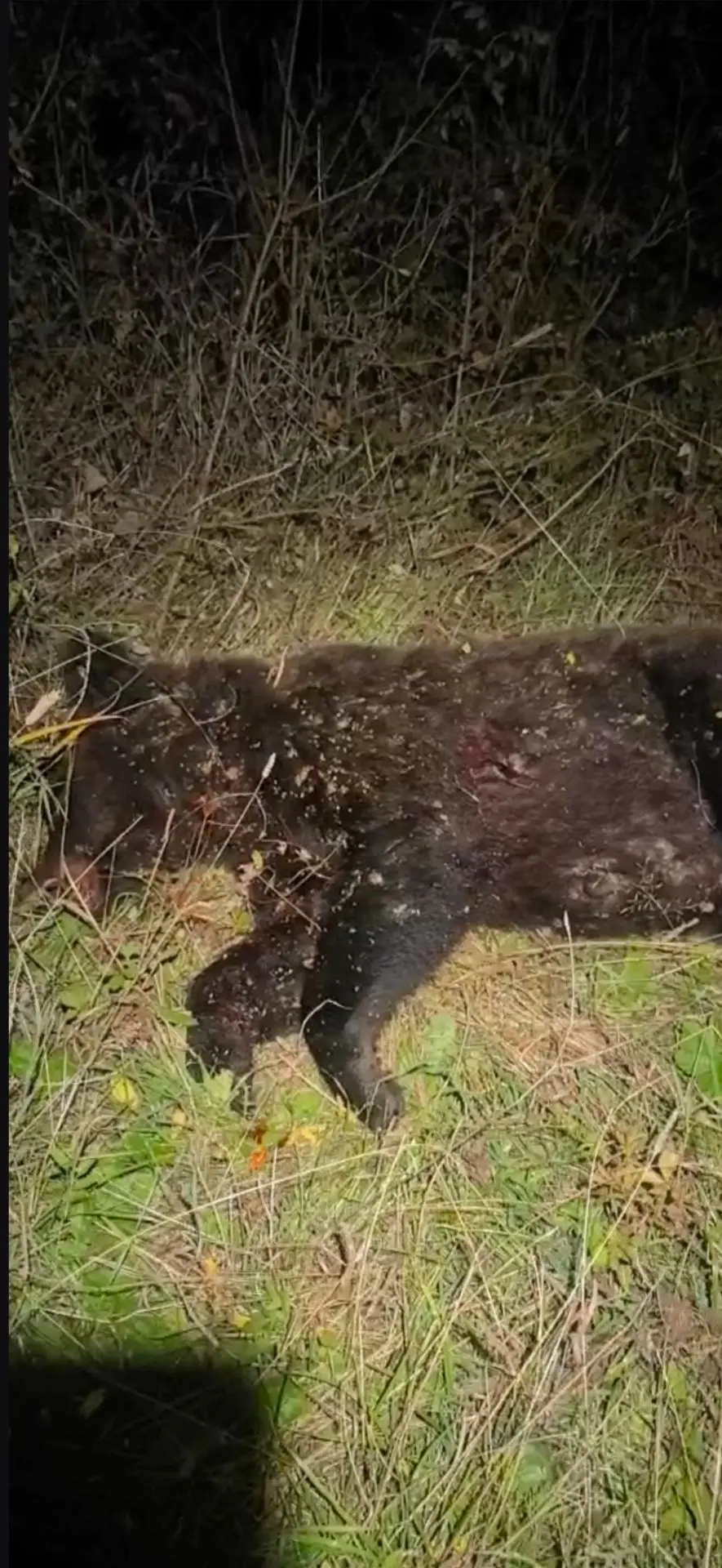 В Калах снова неспокойно