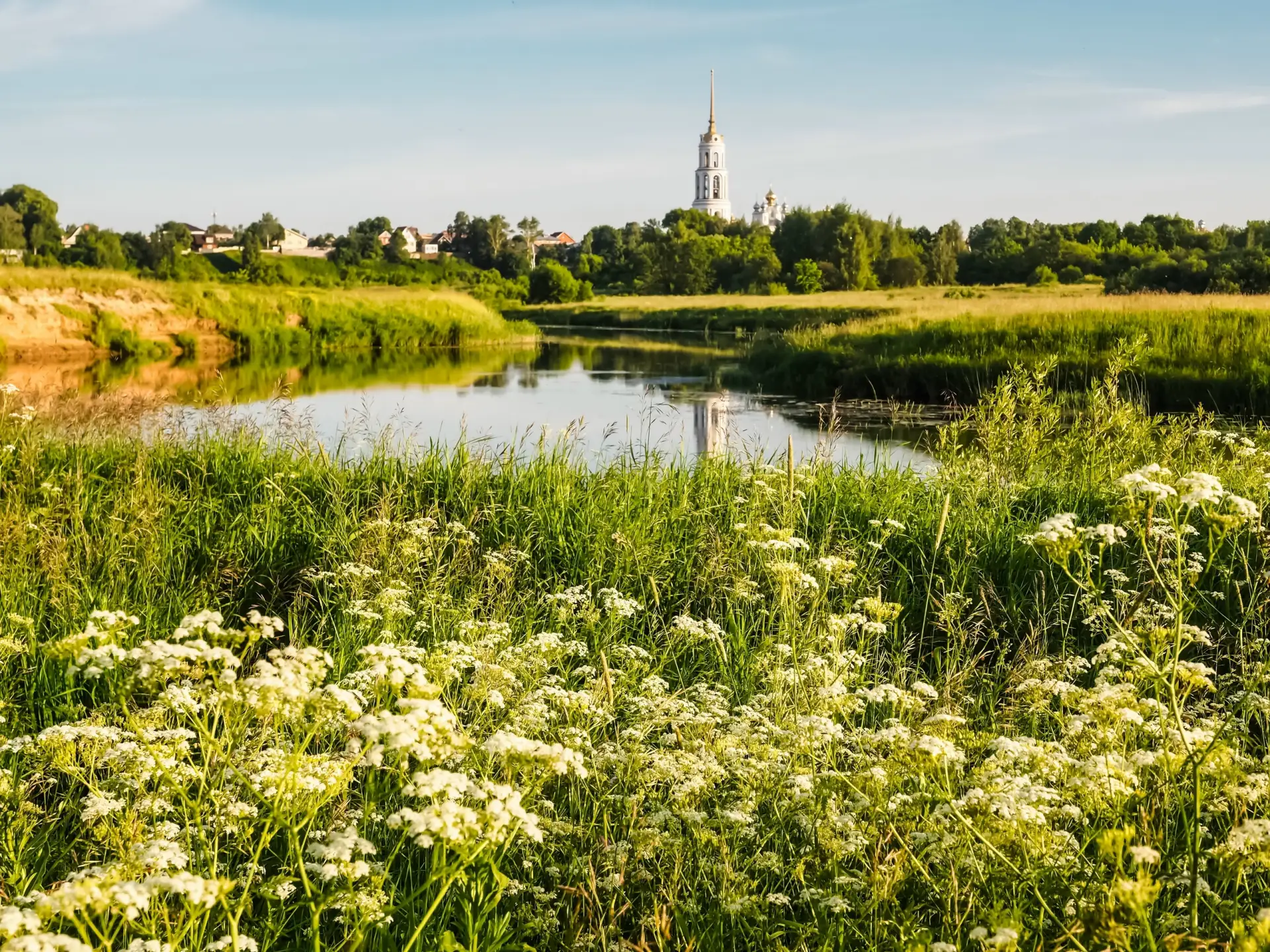 В окрестностях Шуи. Июнь.