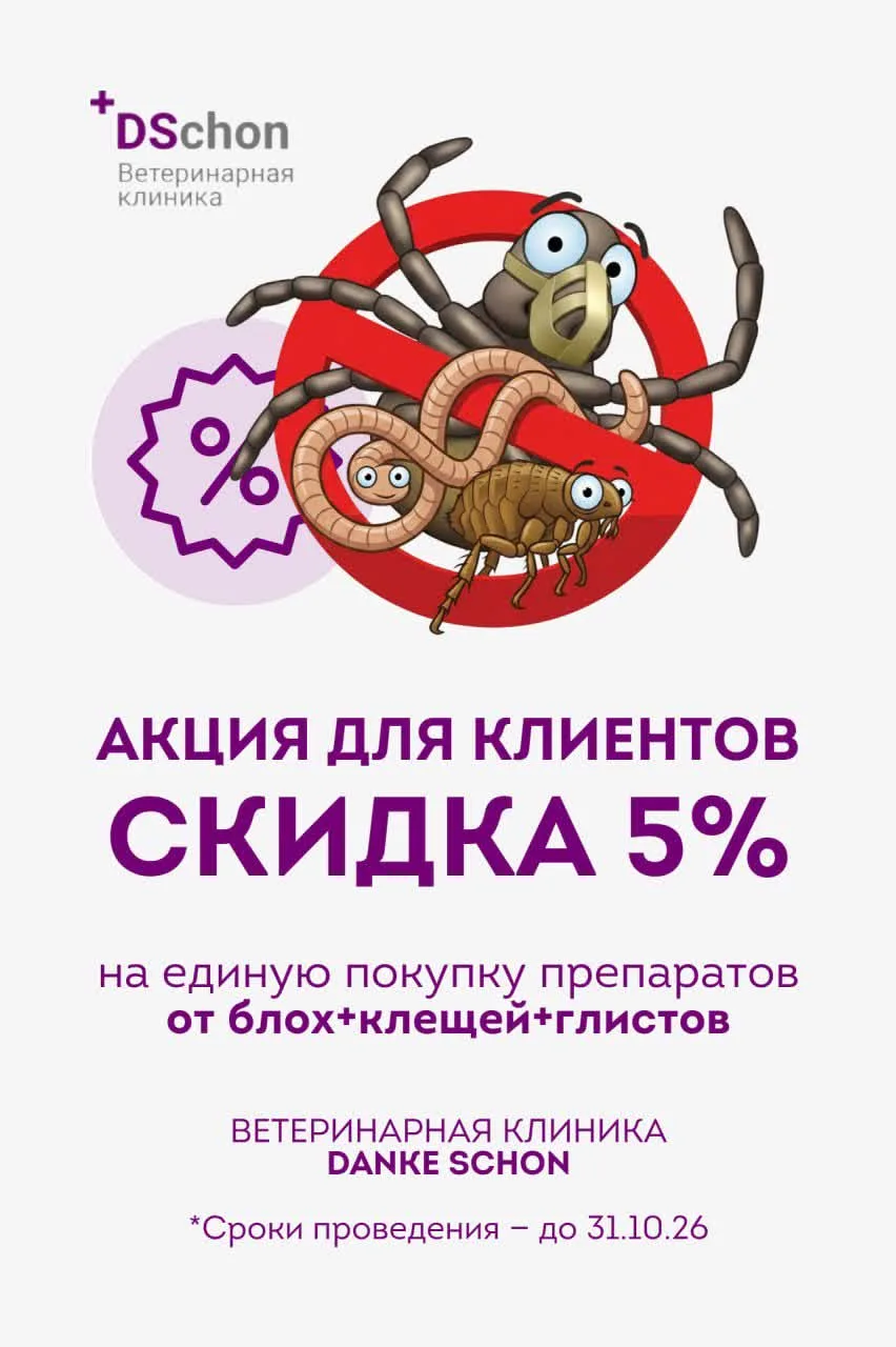 Блохи, клещи и глисты — профилактика важнее лечения 🐾