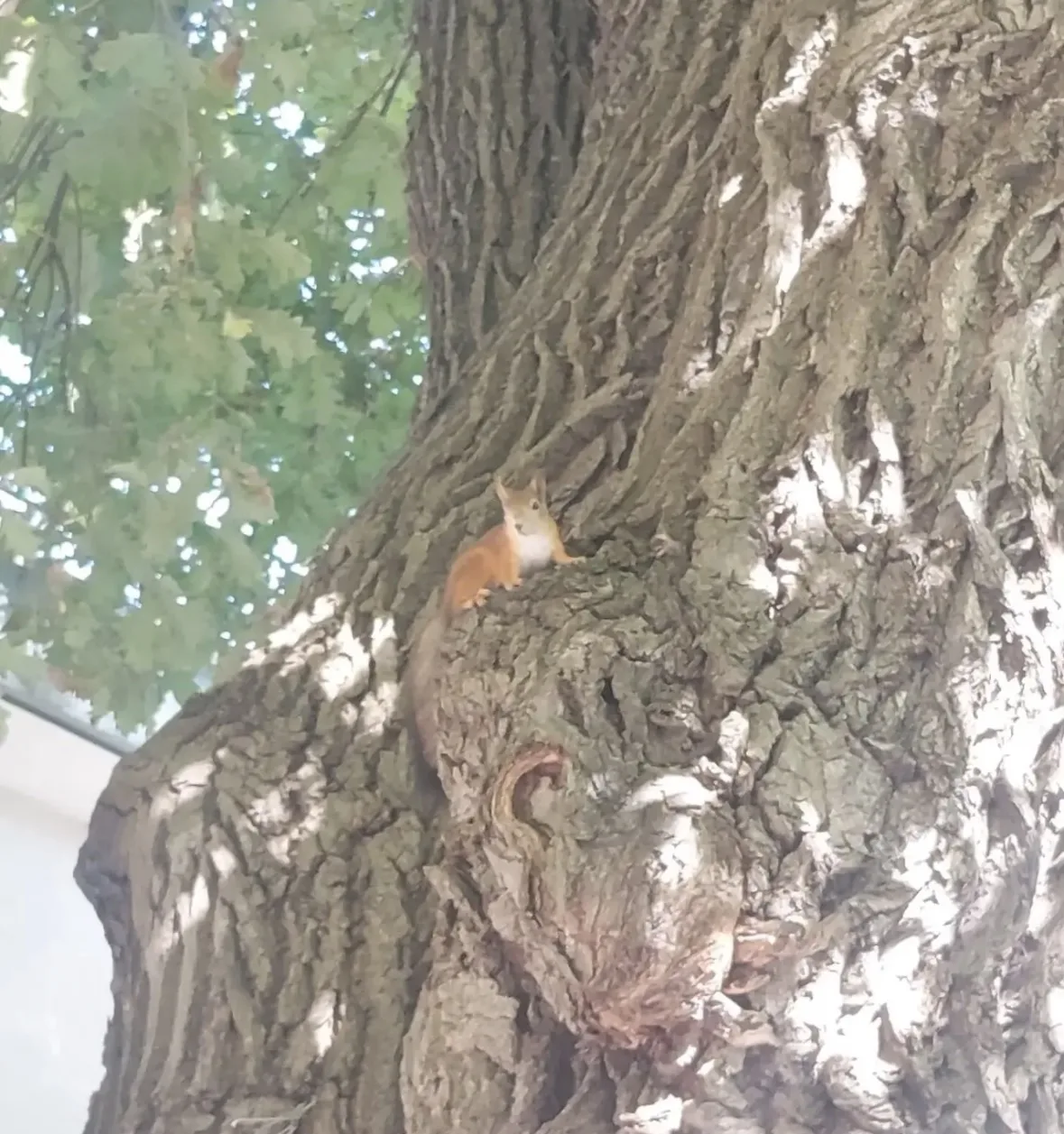 🐿 Маленькая радость среди будней!