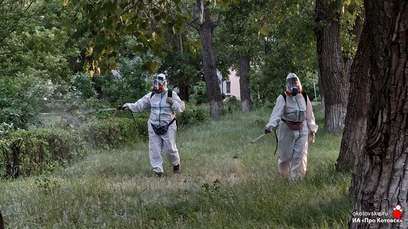 🐞 В Котовске продолжается регулярная противоклещевая обработка городских пространств

🍀 Более 30 Г