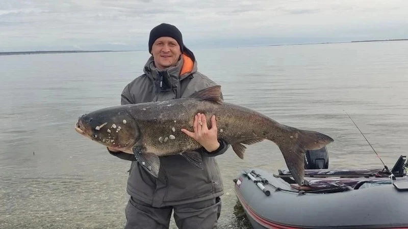 Для розыгрыша #13

Открытие сезона по жидкой воде. Поехали ловить судака. Основная цель судак ну и е
