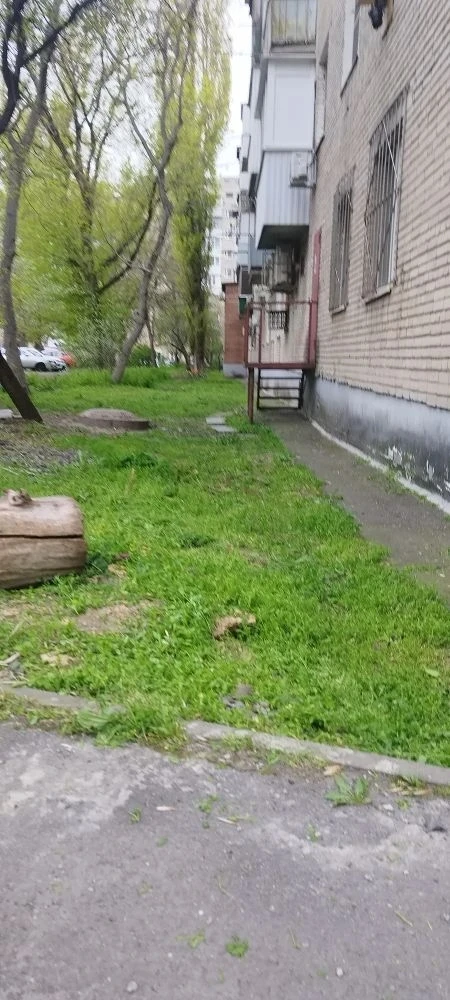 Покос травы на МКД г. Ростов-на -Дону, ул. Содружества, д. 88