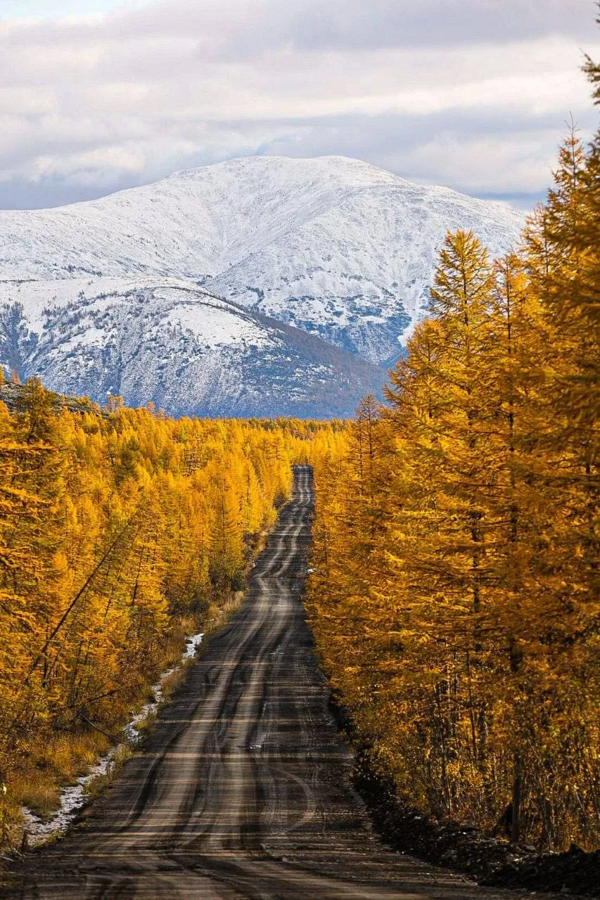 📸Олег Шмелев