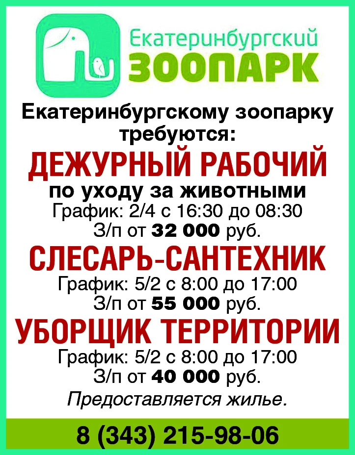 Телефон для связи: 8 (343) 215-98-06