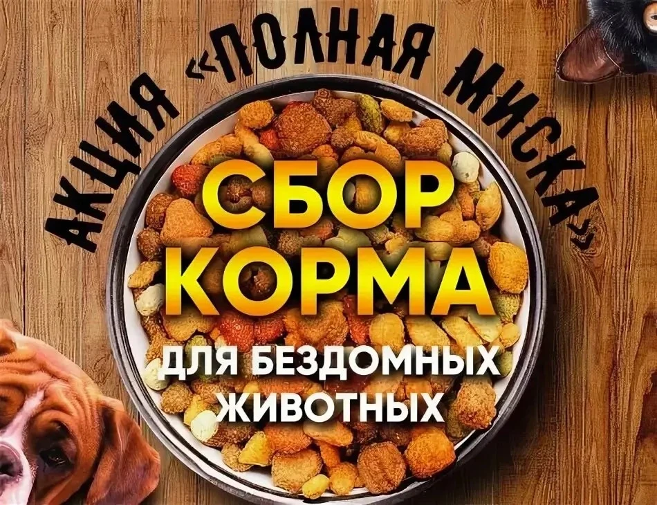 Дорогие родители, ученики и учителя!  Приглашаем вас принять участие в акции по сбору корма для безд