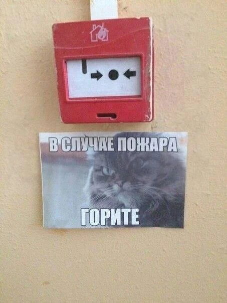Теперь эти посты - мои любимые