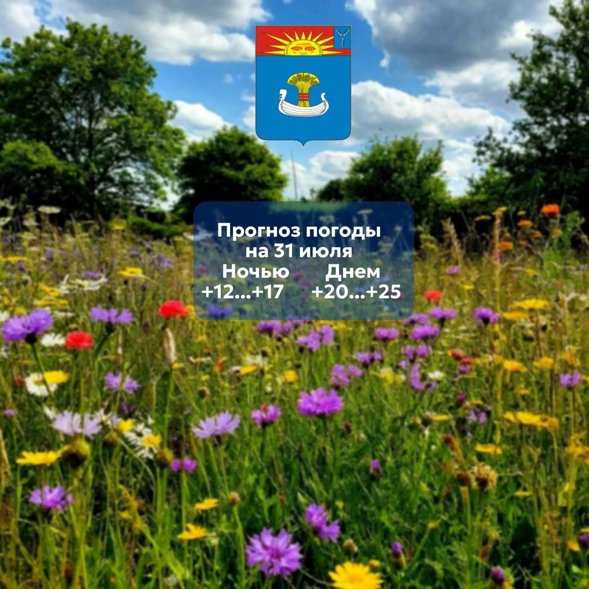 Прогноз погоды на 31 июля 2026 года 

31.07.2026 ночью  переменная облачность. Местами кратковременн