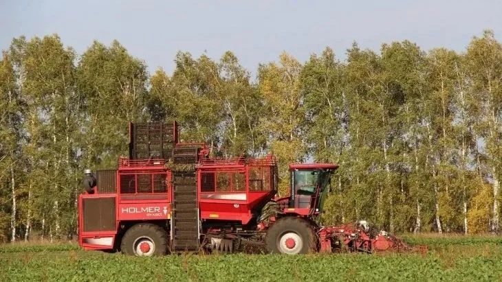 Более 700 тысяч тонн сахарной свеклы убрано в Алтайском крае