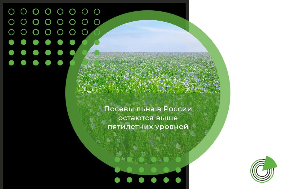 ПОСЕВЫ ЛЬНА В РОССИИ ОСТАЮТСЯ ВЫШЕ ПЯТИЛЕТНИХ
 
🌱 Аналитический центр Ruseed представляет обзор сит