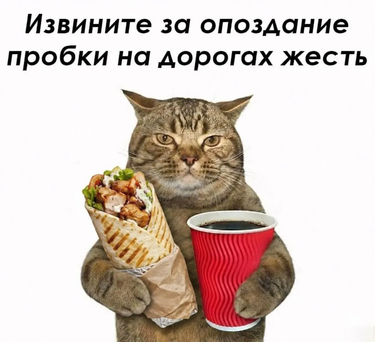Сегодня отмечается День опозданий — праздник, когда задержаться куда угодно можно почти...