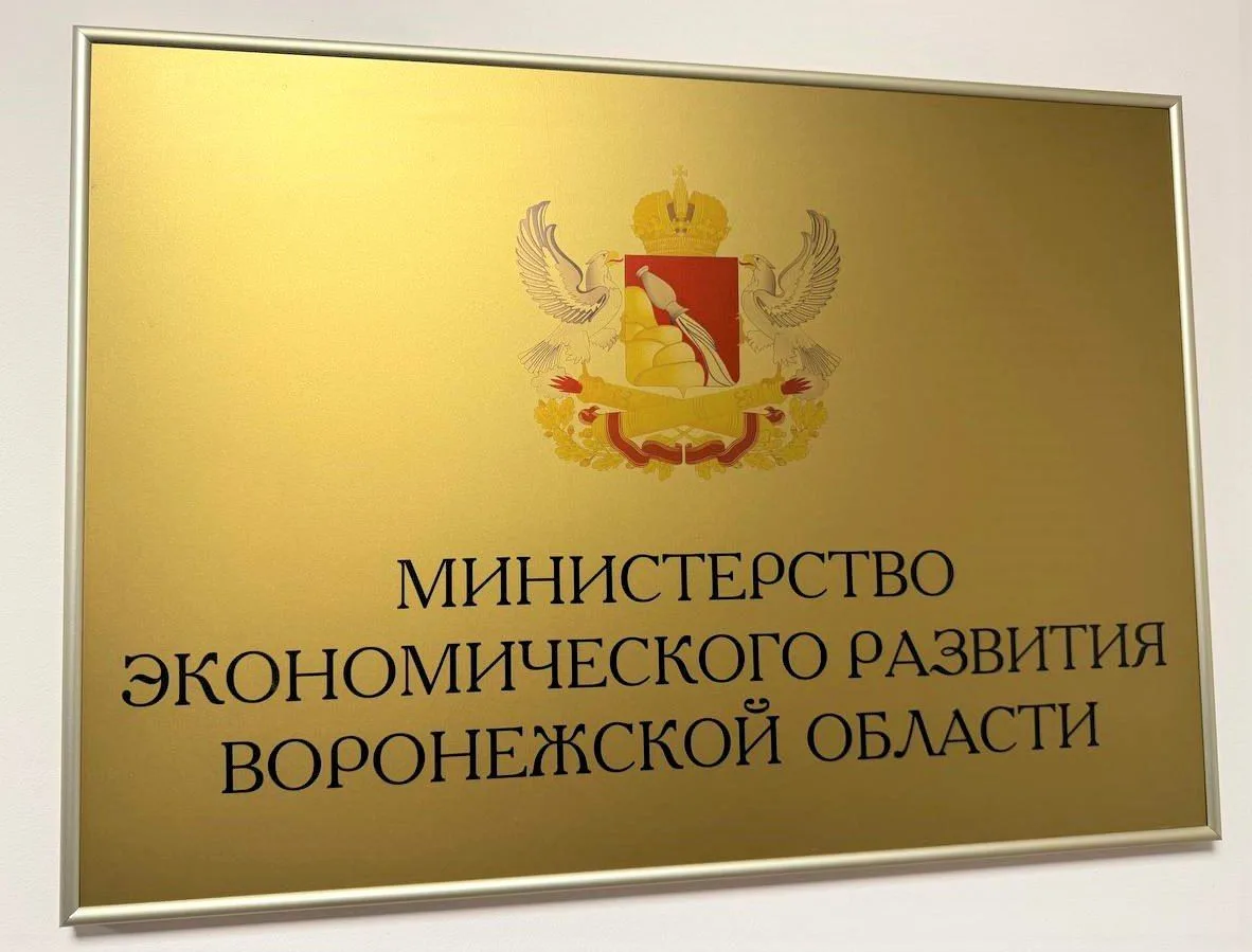 🔴Представители ГКУ ВО «Центр налоговых доходов» приняли участие в совещании в министер...